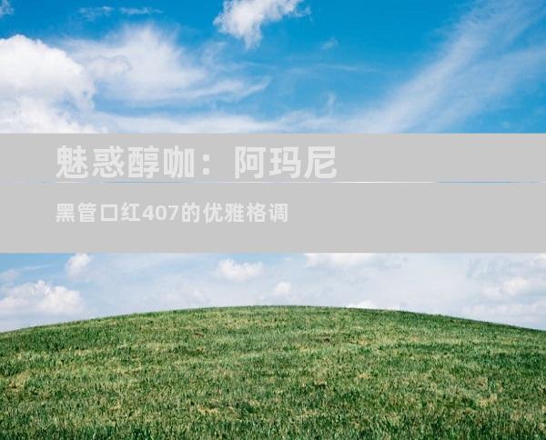 魅惑醇咖：阿玛尼黑管口红407的优雅格调