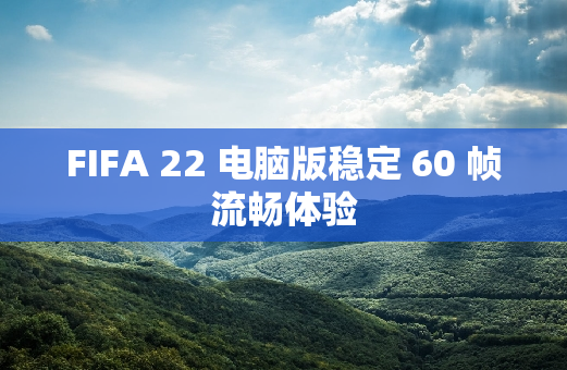 FIFA 22 电脑版稳定 60 帧流畅体验